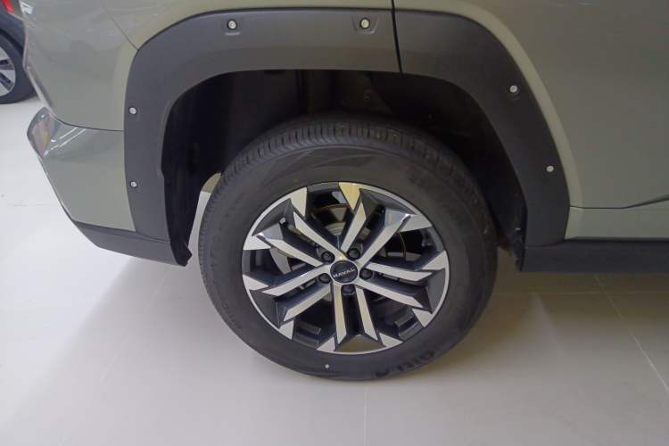 Used Haval H Dog 2023 2.0T Two-Wheel Drive Chaoye Version Plus