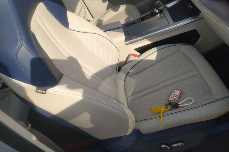 Used Roewe Jing 2022 2.0T Blue Whale Edition