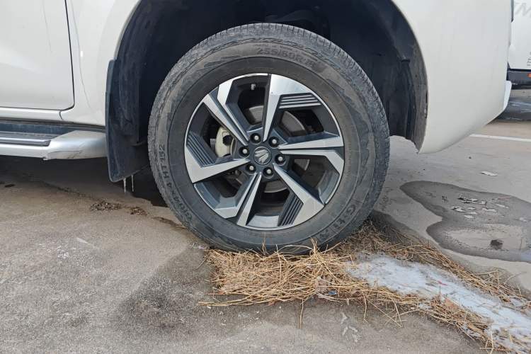 Used Dongfeng Fengdu Paladin 2023 2.0T Four-Wheel Drive Luxury Edition