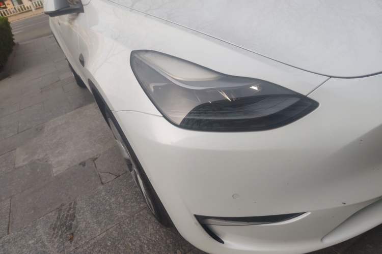 Used Tesla Model Y 2021 Standard Range Rear-Wheel Drive Version
