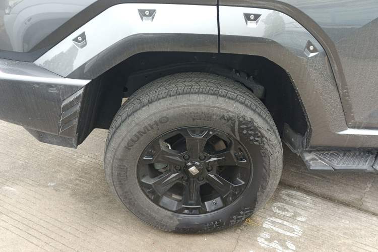 Used Tank 400 2025 2.0T Gasoline Version
