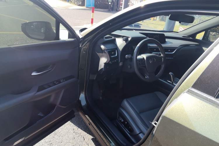 Used Lexus UX New Energy 2020 300e Pure·Joy Edition