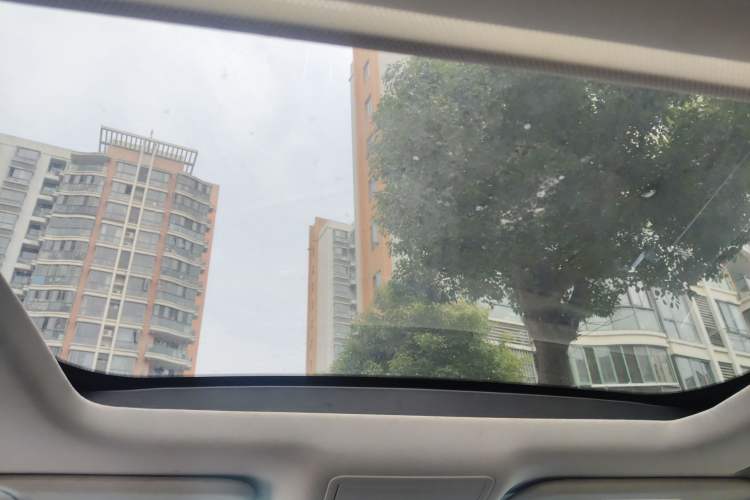 Used Ford Focus 2019 Sedan EcoBoost 180 Automatic Trend Edition