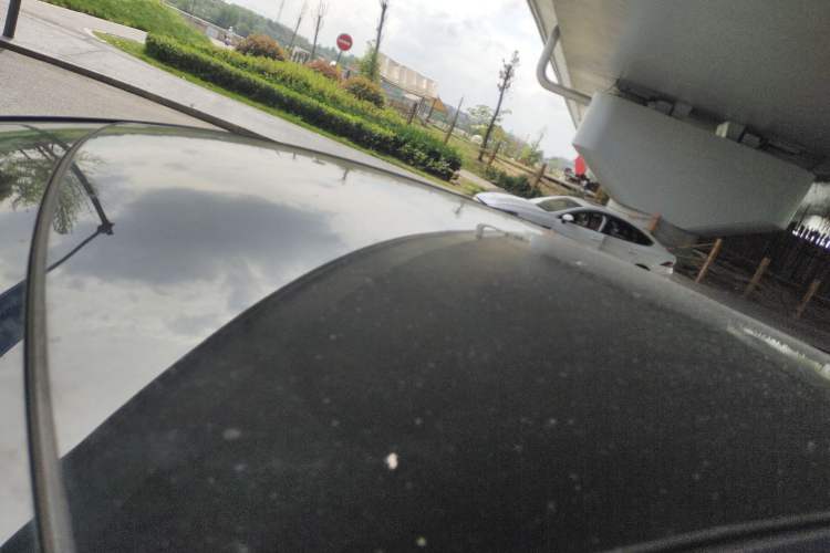 Used BYD Dolphin 2025 Intelligent Driving Version 410 km Fashion Edition Roof