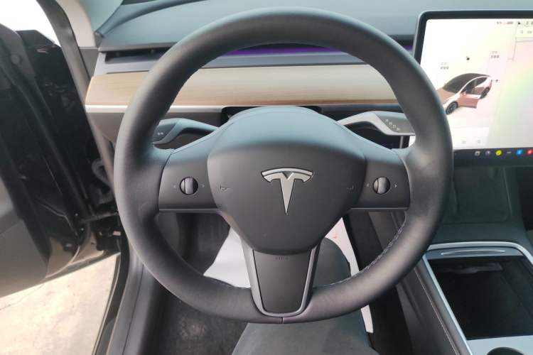 Used Tesla Model Y 2021 Standard Range Rear-Wheel Drive Version Steering Wheel