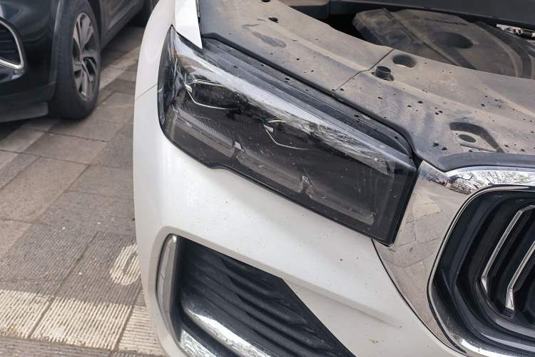 Used Geely Auto Monjaro L 2021 2.0TD DCT EVO Two-Wheel Drive Prestige Version