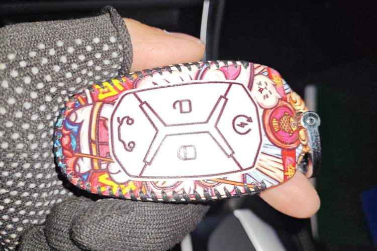 Used Lynk & Co 01 2019 2.0T Two-Wheel-Drive Pro Version China VI Standard