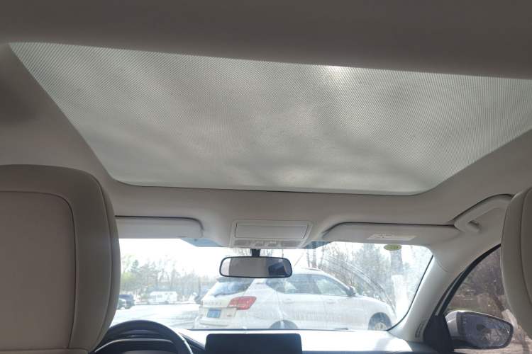 Used Ford Focus 2021 Sedan EcoBoost 180 Automatic Trendy Model Headliner