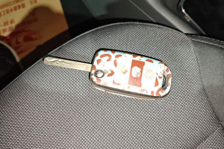 Used Qiyuan Lumin 2022 210km Sweet Edition