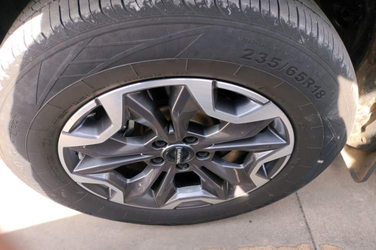 Used Haval DARGO 2024 2.0T DCT Chinese Rural Dog Edition
