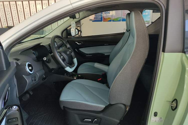 Used Chery Little Ant 2023 251km True Love Edition Lithium Iron Phosphate