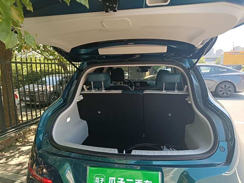 Used ORA Good Cat 2022 Morandi Edition 400km Standard Range Luxury Version Lithium-Ion Battery — 18