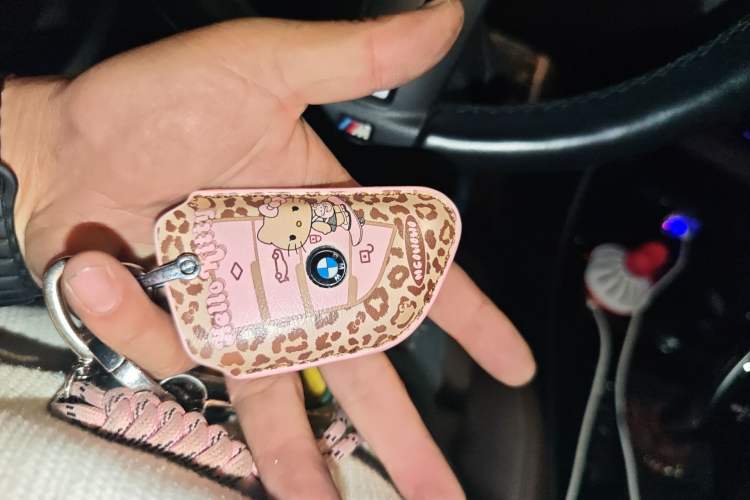 Used BMW X2 2022 sDrive25i M Sport Package