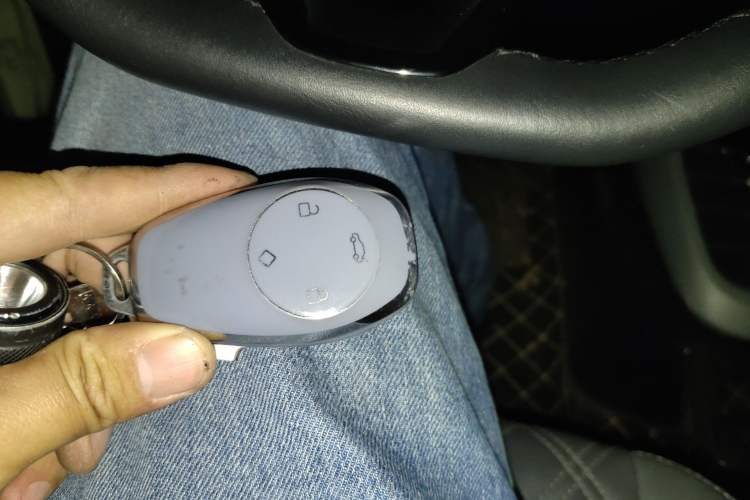 Used Leapmotor T03 2021 400 Luxury Pro Edition Vehicle Key