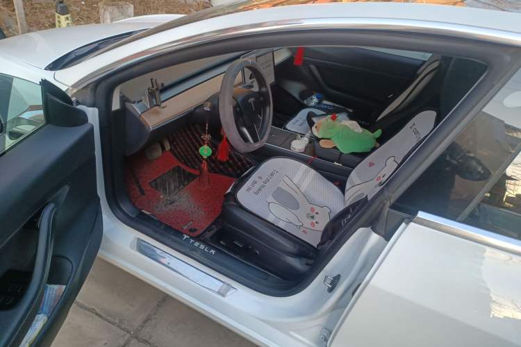 Used Tesla Model 3 2020 Revised Version Standard Range Rear-Wheel Drive – Upgraded Edition