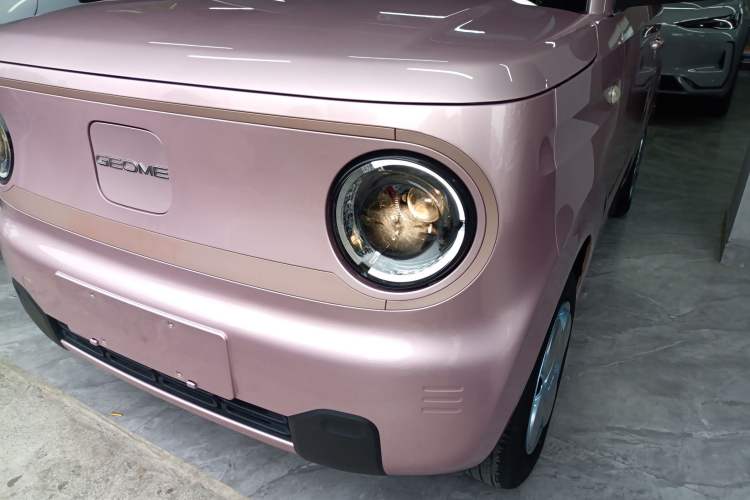 Used Geely Galaxy Panda 2023 Panda Mini 200km Endurance Bear