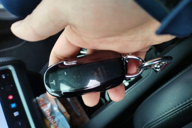 Used Tesla Model X 2017 X 100D Long Range Edition