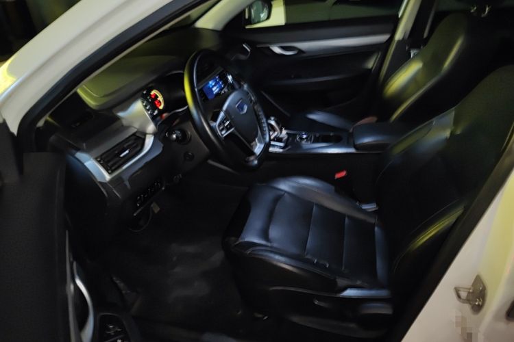 Used Geely Auto Emgrand New Energy 2018 EV450 Elite Model
