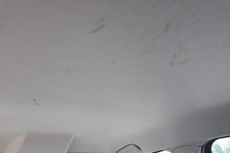 Used Ford EcoSport 2013 1.5L Automatic Fashion Model Headliner