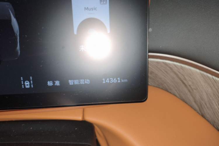 Used Wey Gaoshan 2025 Four-Wheel Drive Alpine 8
