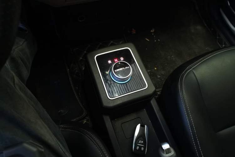 Used Dayun Yuehu 2022 300 Standard Edition
