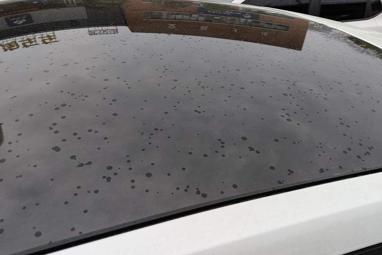 Used CHANGAN UNI-V 2022 1.5T Prestige Version
