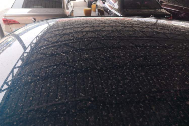 Used Dayun Yuehu 2022 30.66 kWh Two-Wheel Drive VIP Edition
