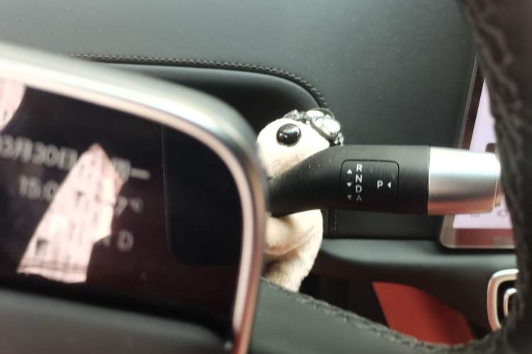 Used Li Auto L6 2024 Pro Model
