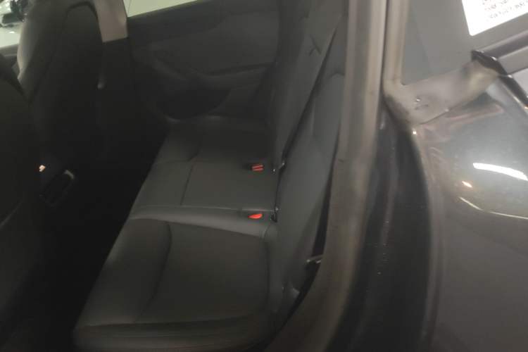 Used Tesla Model Y 2025 Rear-Wheel Drive First Edition Left Rear Seat