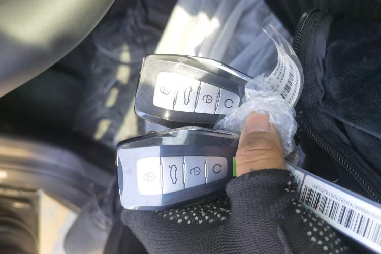 Used Geely Auto Binray 2024 Binrui COOL 1.5T DCT Longteng Edition