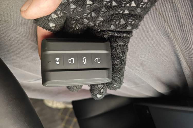 Used Tank 300 New Energy 2024 Hi4-T