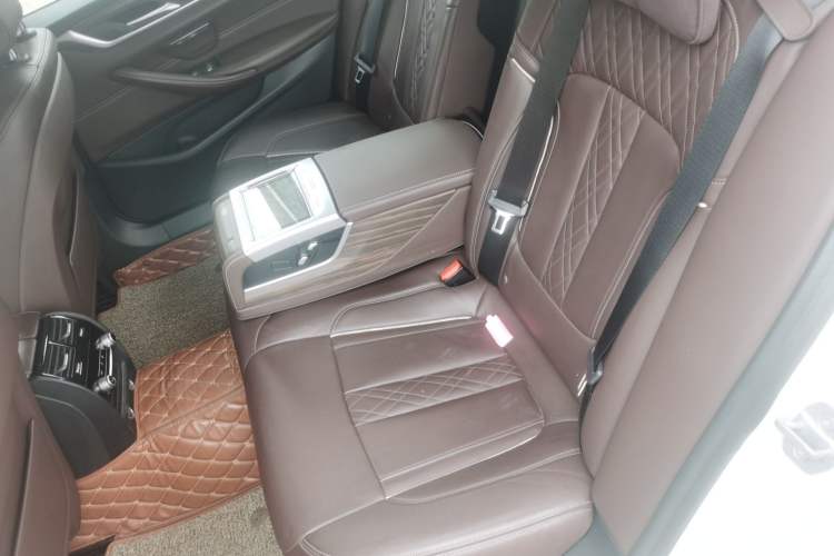 Used BMW 5 Series New Energy 2018 530Le Luxury Package
