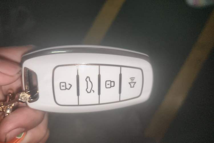 Used ORA White Cat 2020 305 km Luxury Version