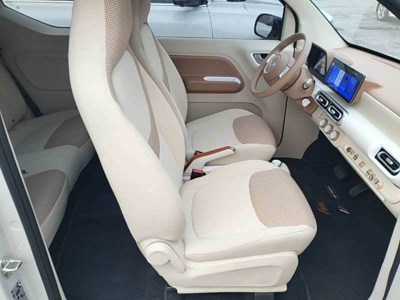 Used Wuling Hongguang MINIEV 2024 3rd Generation 215km Youth Edition — 24