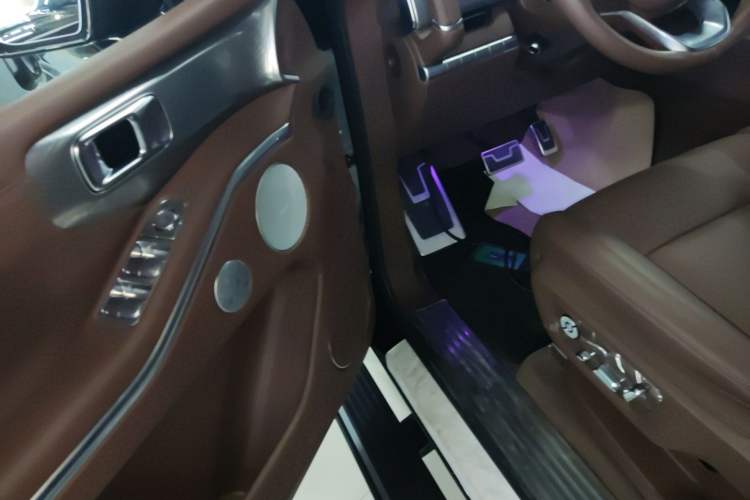 Used Tank 700 New Energy 2024 Hi4-T Extreme Edition Driver Seat