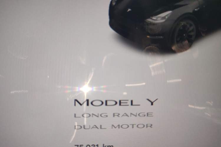 Used Tesla Model Y 2022 Long-Range All-Wheel-Drive Version
