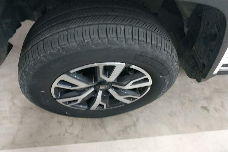 Used Tank 300 2024 2.0T Crosser
