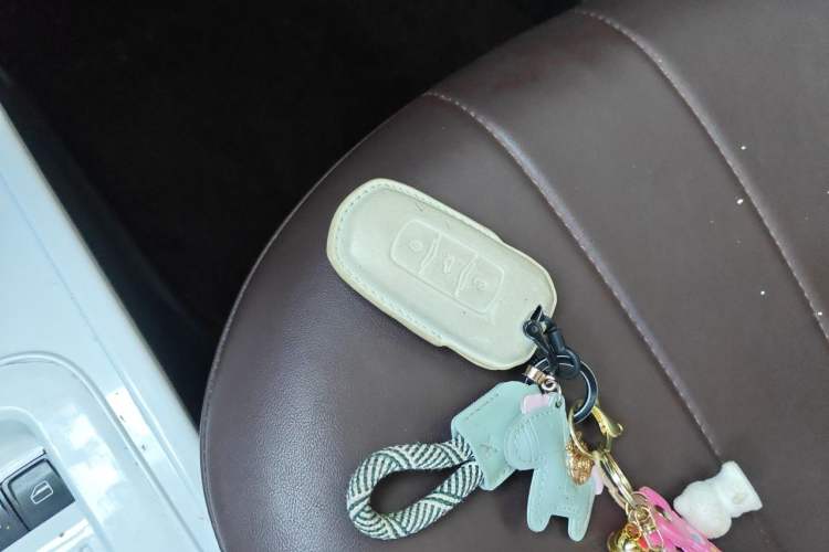 Used Geely Galaxy Panda 2023 Panda Mini 200km Endurance Bear