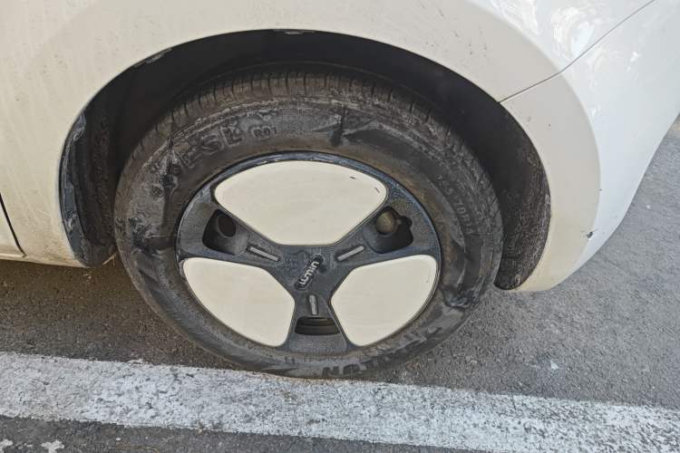 Used Qiyuan Lumin 2023 205km Xiangqin Version
