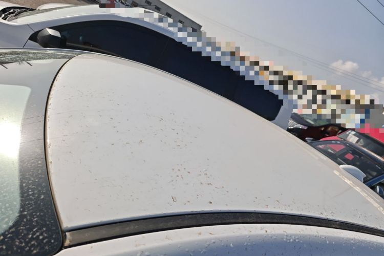 Used Hongqi E-QM5 2024 500km Range Edition
