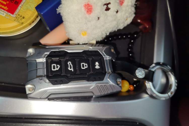 Used Tank 300 2024 2.0T Conqueror