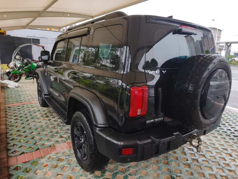 Used Tank 300 2021 Off-Road Edition 2.0T Conqueror — 4