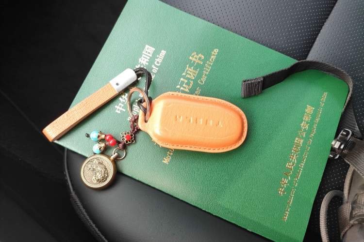 Used Tesla Model Y 2023 High-Performance All-Wheel-Drive Version
