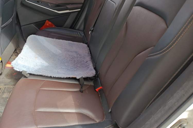 Used CHANGAN CS15 2019 1.5L Manual Entry-Level Version China VI Standard Left Rear Seat