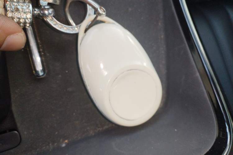 Used AION V 2024 Aion Tyrannosaurus 650 Smart Premium Edition
