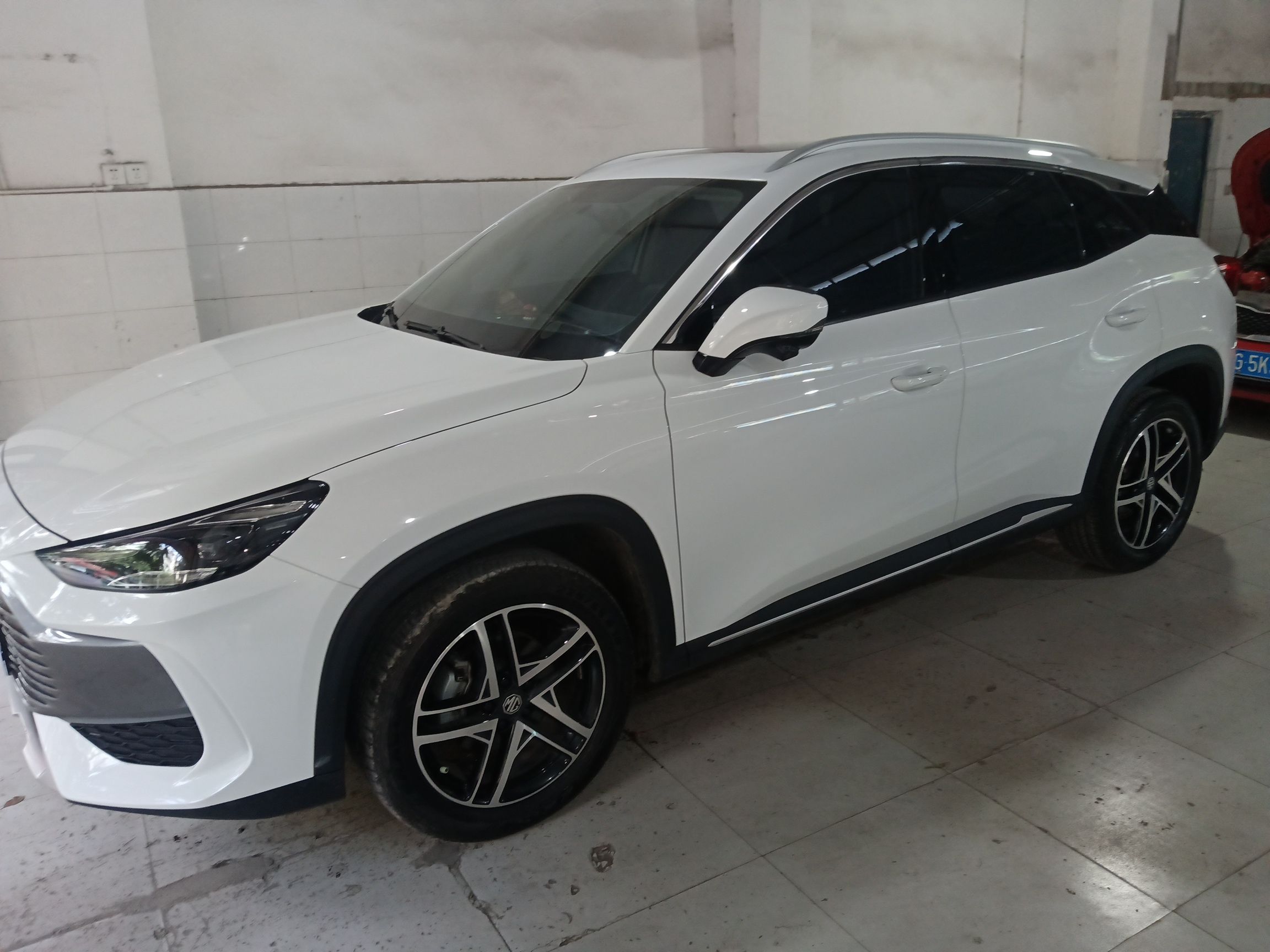 Parte inferior delantera