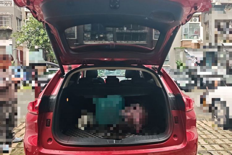 Used Wey VV5 2019 Upgraded Model 2.0T Two-Wheel Drive Ultra-Luxury Version China V Standard