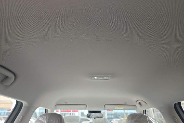 Used BYD Yuan UP 2025 Model 301KM Leading Version Headliner