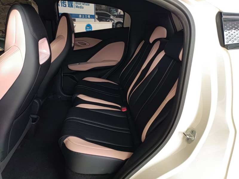 Used BYD Seagull 2025 Intelligent Driving Version 305 km Dynamic Edition — 16