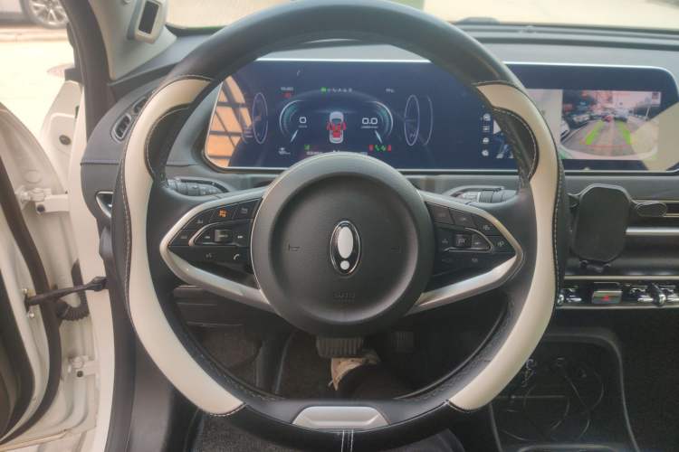 Used ORA Good Cat 2021 400km Standard Range Athena Edition Lithium Iron Phosphate